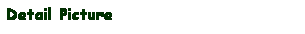 Text Box: Detail Picture
